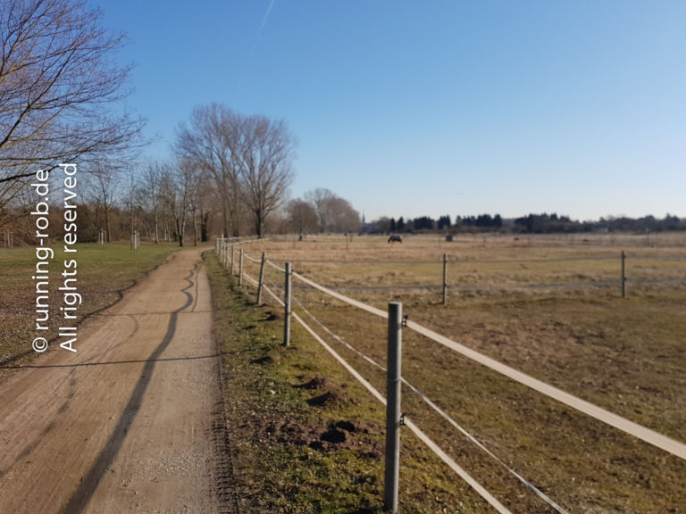 Feldweg im Winter unter blauem Himmel