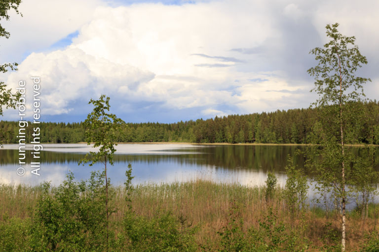 26.06.2017